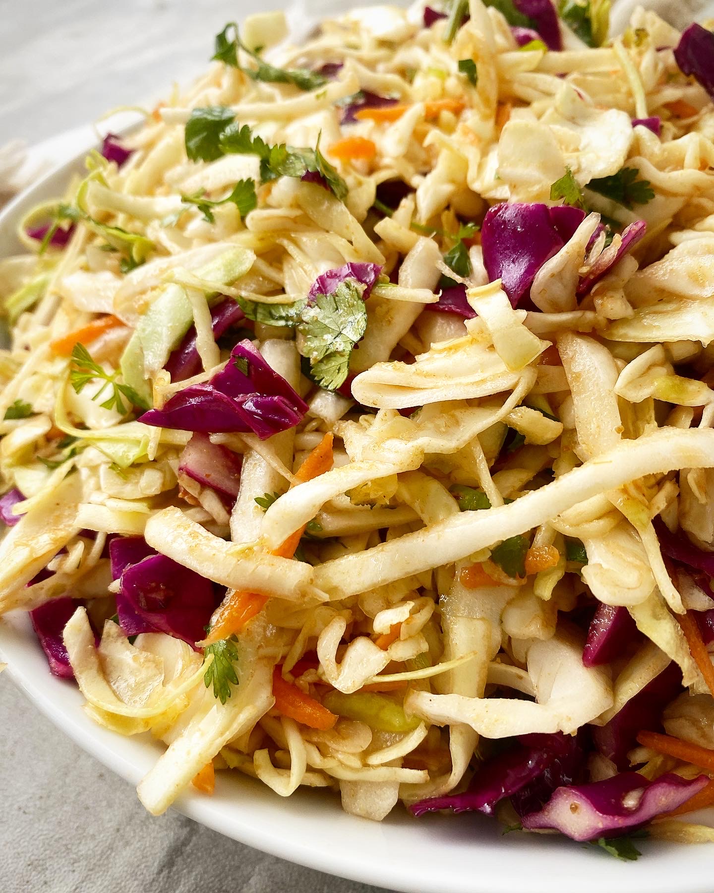 closeup shot of Sweet Spicy Vinegar Based Coleslaw in a white bowl