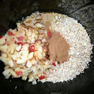 Oatmeal is a great recipe for the low & slow cooker method. Add apples, cinnamon and a few other ingredients for this easy & healthy breakfast recipe.