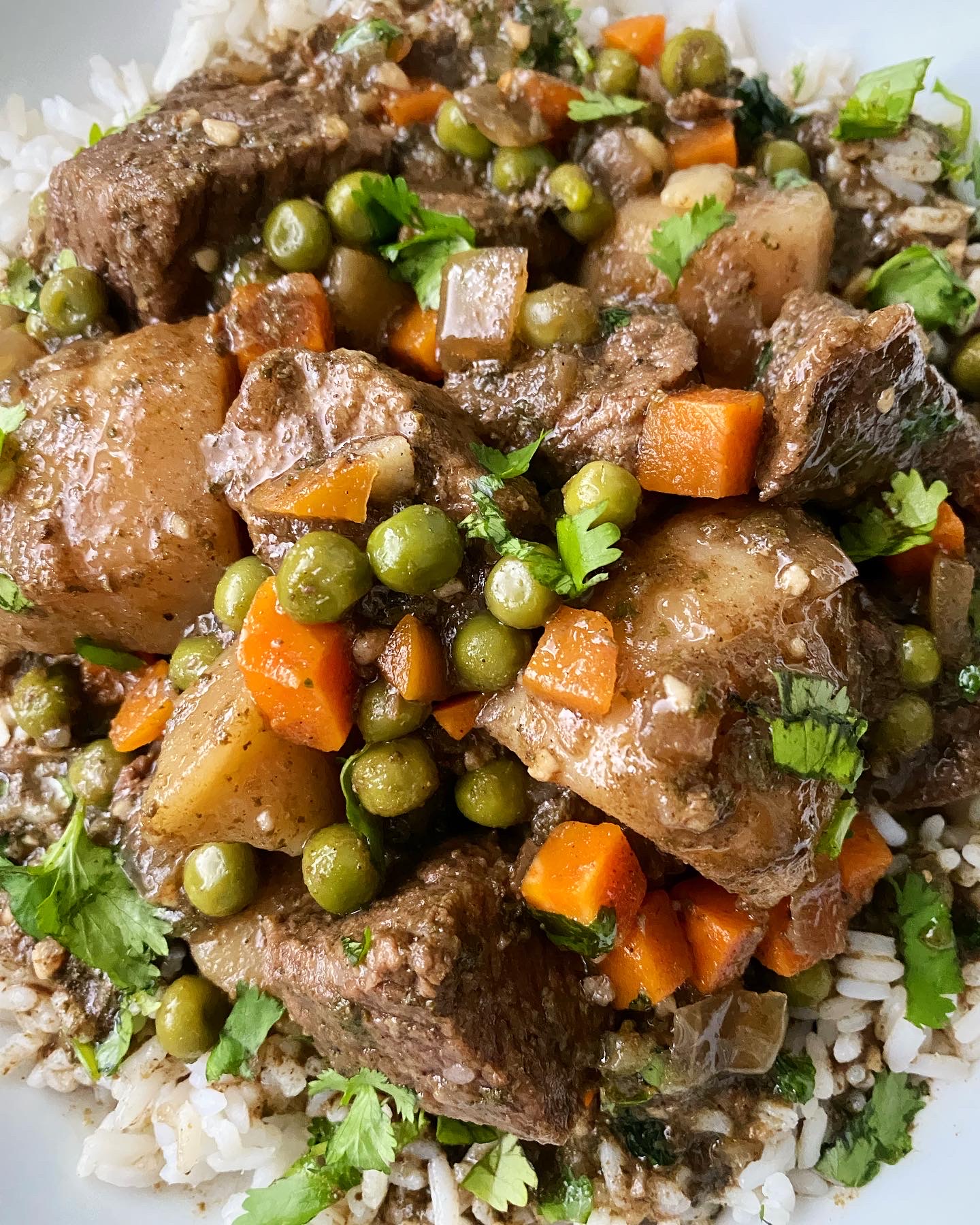 closeup overhead shot of cilantro beef stew in a white bowl garnished with fresh cilantro