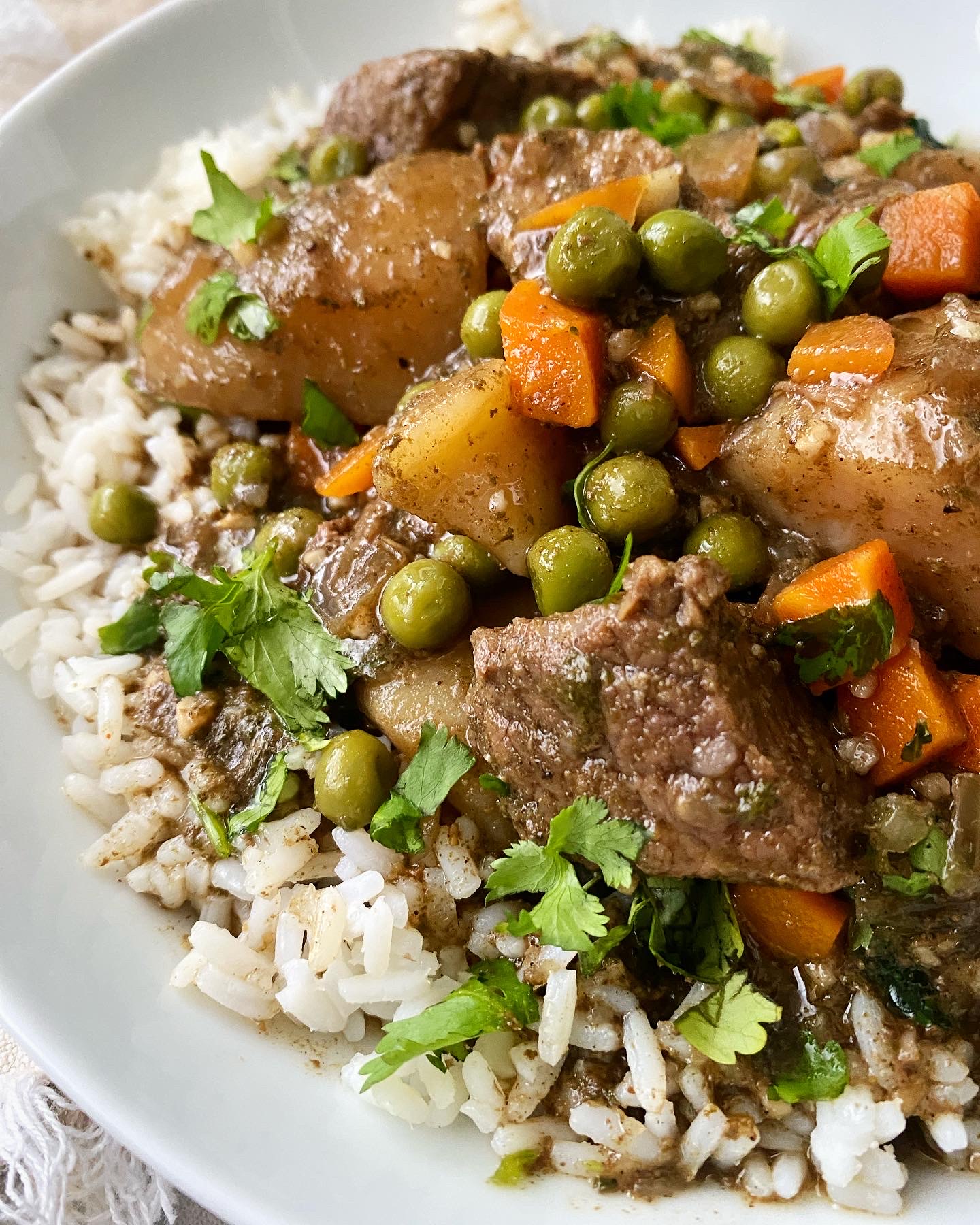 closeup shot of cilantro beef stew in a white bowl garnished with fresh cilantro