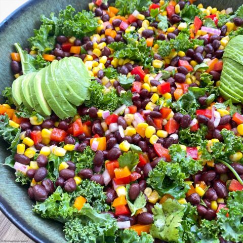 VIDEO-Fiesta-Kale-Salad-Vegan-5-480x480-1.jpg